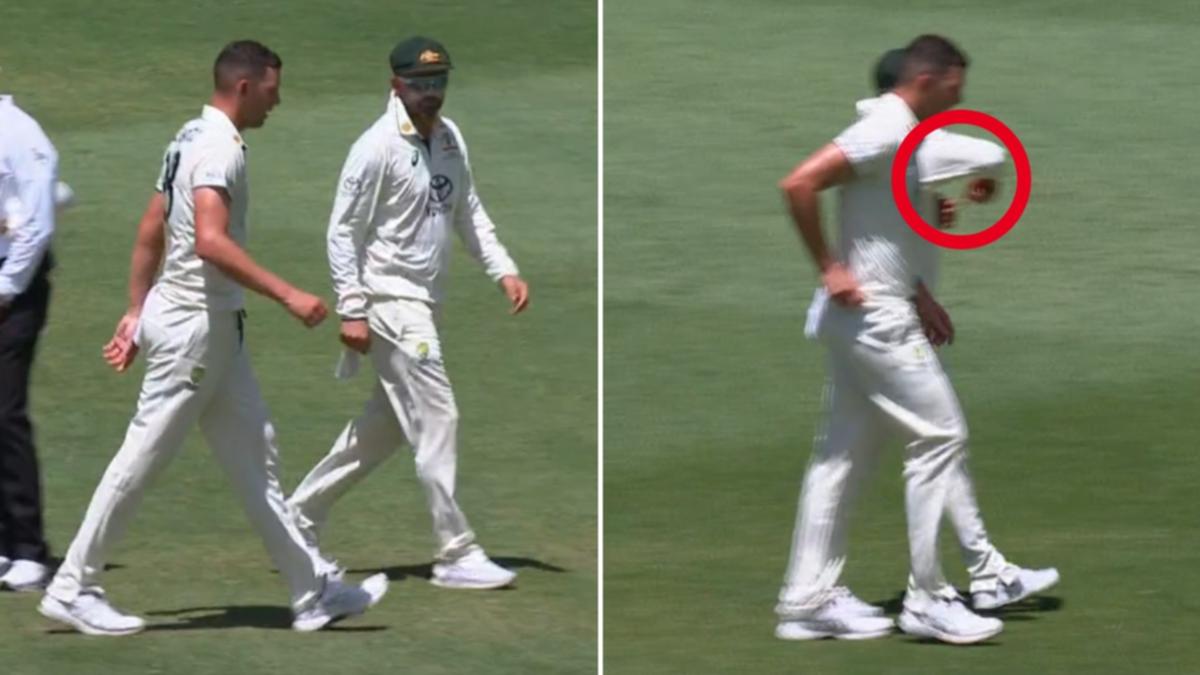 Ricky Ponting blown away by prophetic Nathan Lyon recommendations to precede Josh Hazlewood wicket