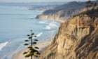 California guy saved after being caught in beachside crevice for 3 days