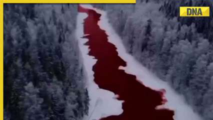 Russia’s Iskitimka river turns beetroot red, here’s why