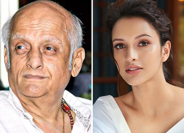 Mukesh Bhatt on Triptii Dimri’s casting in Aashiqui 3, “Rubbish! I have not even satisfied this woman”