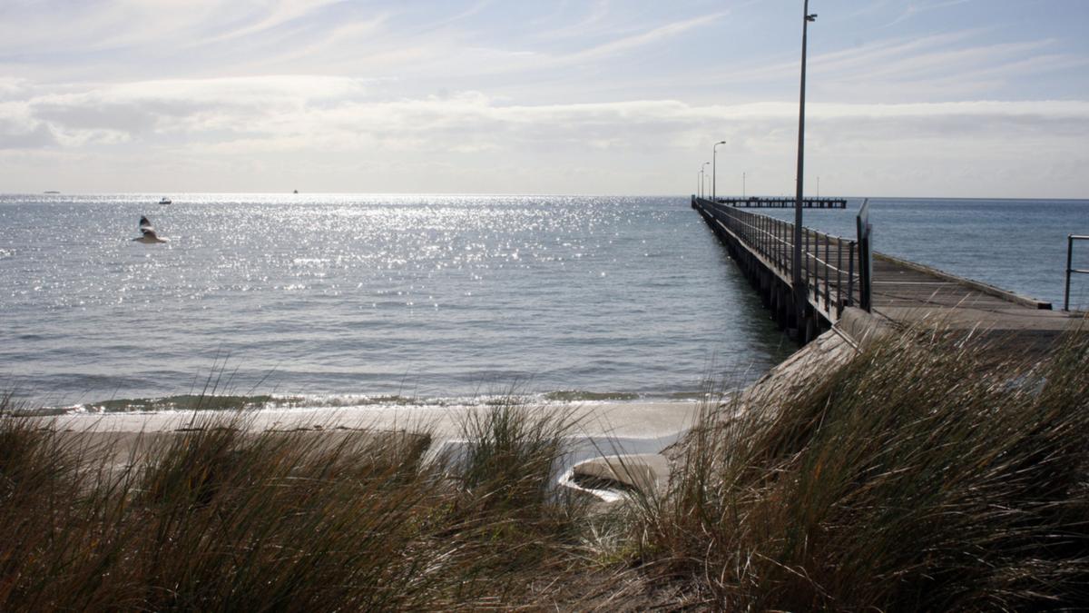 Scuba scuba diver passes away after being pulled from water at Rye pier on Melbourne’s Mornington Peninsula