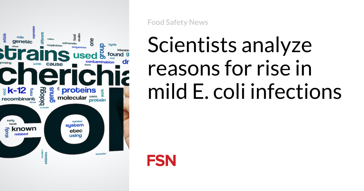 Researchers evaluate factors for increase in moderate E. coli infections