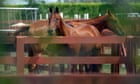 Cops look for horse rustlers in Florida who butchered 3 animals