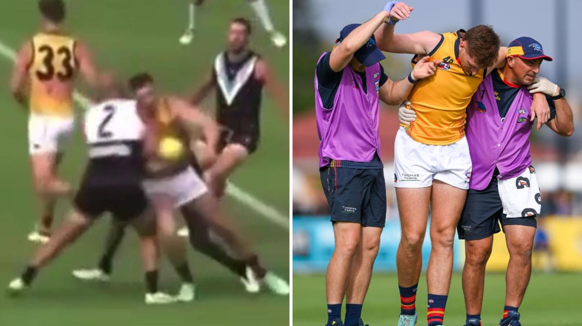 Port Adelaide bull Sam Powell-Pepper finds out fate for high bump at marathon tribunal hearing