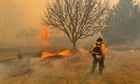 Texas wildfires trigger turmoil as biggest blaze in state history blisters 1.2 m acres