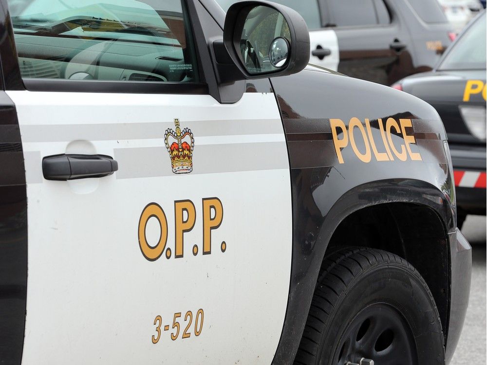 Male chauffeur eliminated in single-vehicle crash near Winchester