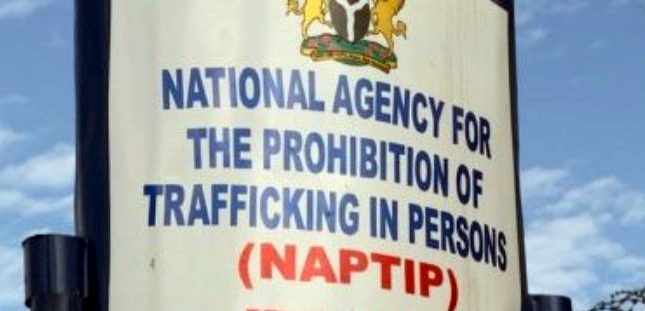 470 Victims Of Human Trafficking Rescue In Kastina In 2023 -NAPTIP