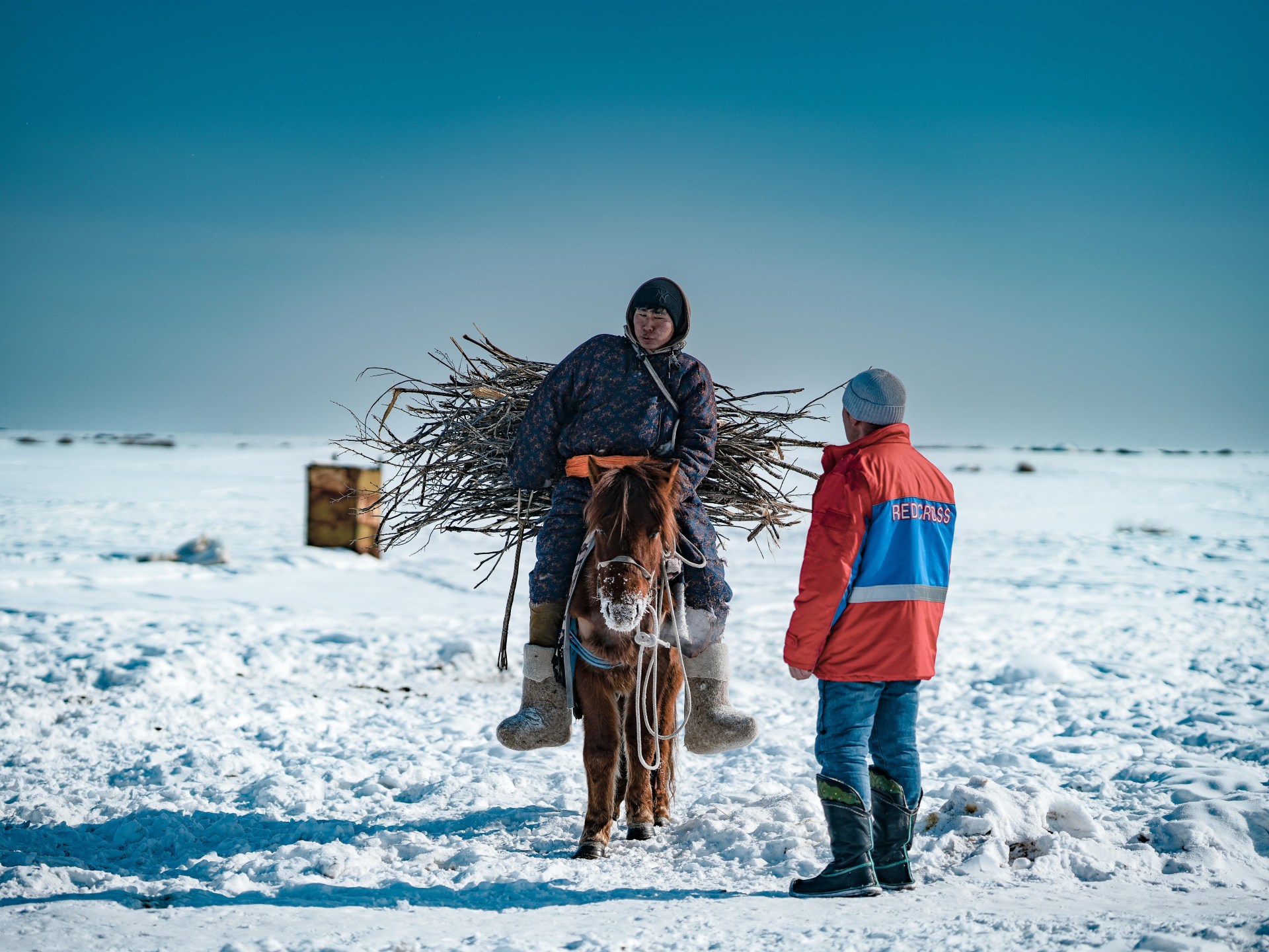 Severe Mongolian winter season leaves 4.7 m animals dead; Red Cross problems appeal