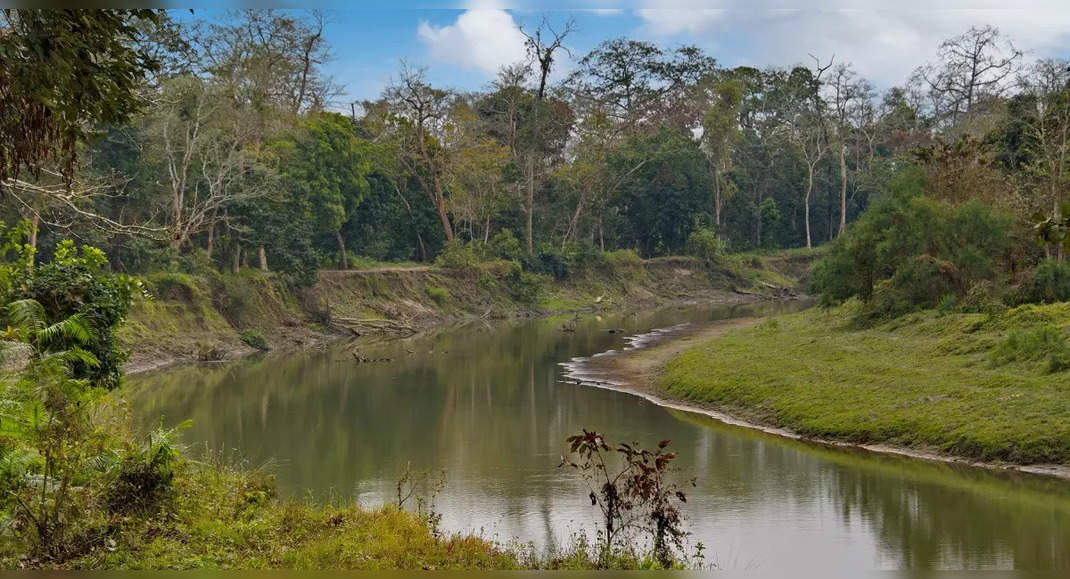 Assam: Two brand-new types determined in Kaziranga National Park; what are they?