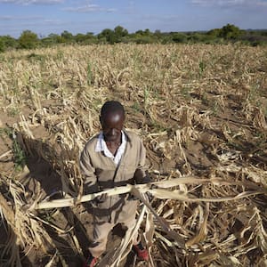 In a cycle of severe weather condition, dry spell in southern Africa leaves some 20 million dealing with cravings