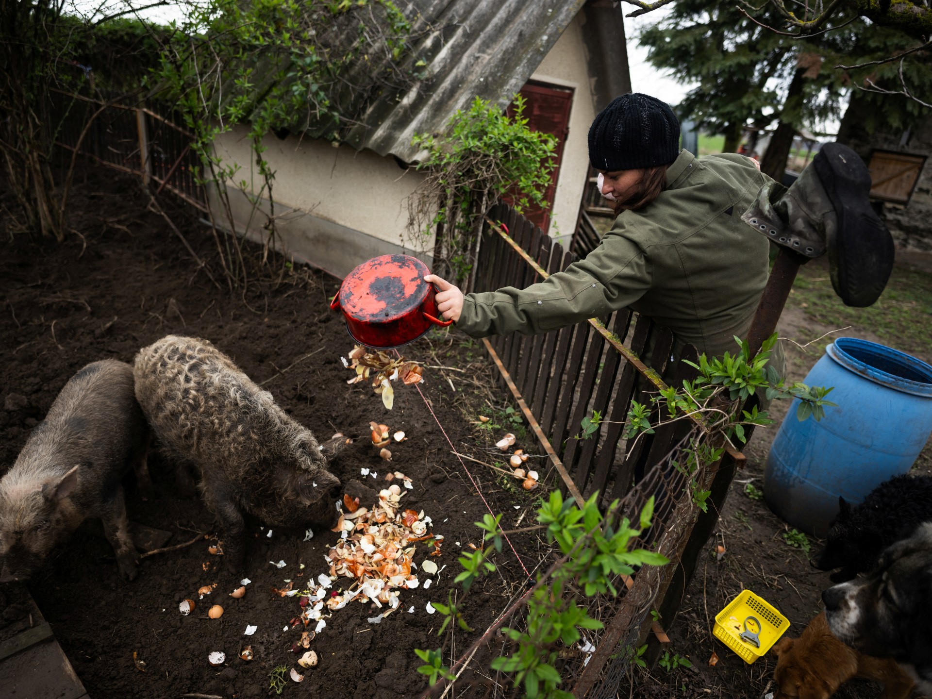 Sustainable living provides Hungarian households wish for the future