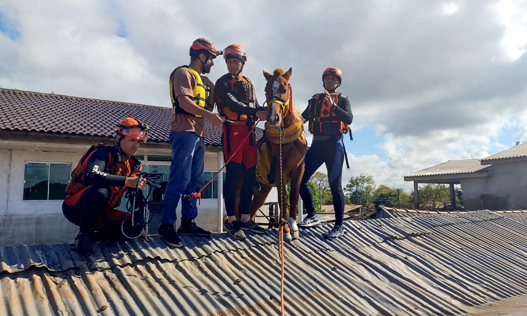 Brazilian horse ‘Caramelo’ saved after being caught on roofing by floods