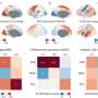 Research study links company of neurotypical brains to genes associated with autism and schizophrenia