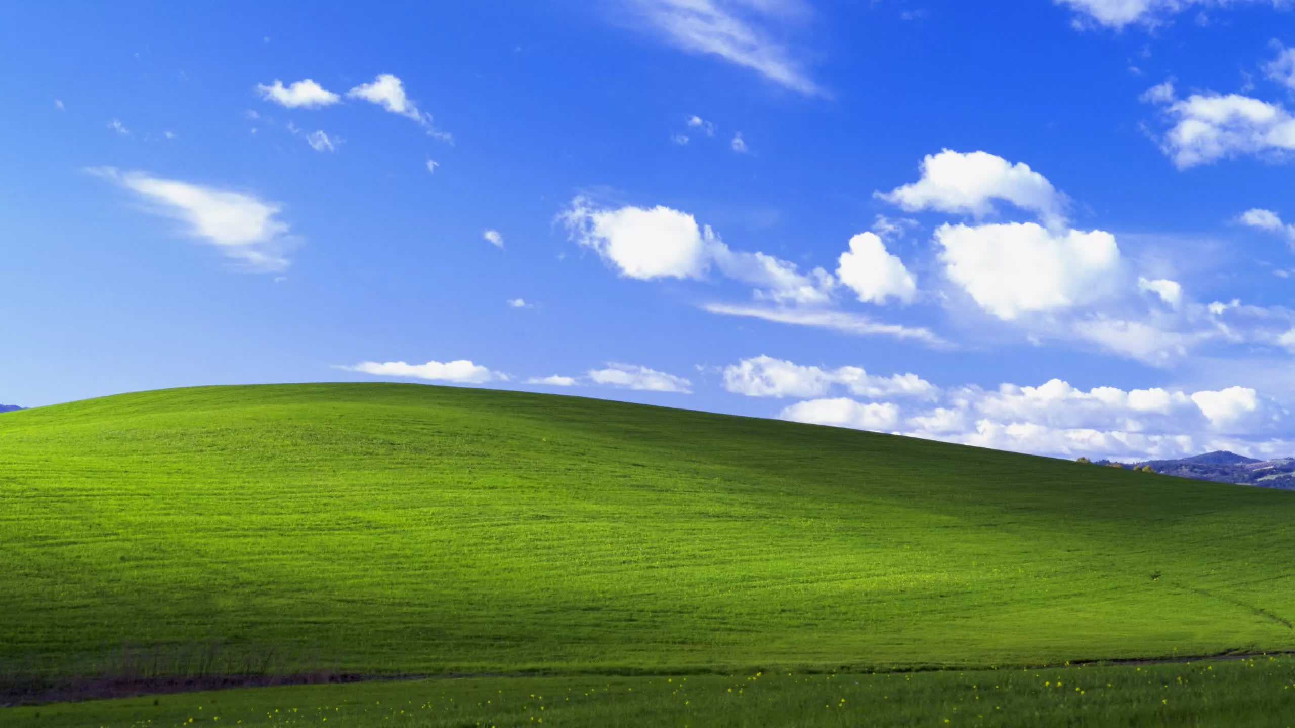 Windows XP can operate on an Intel CPU from 1989 thanks to devoted modder