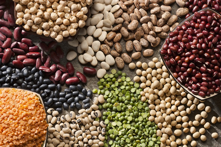 From peas to pintos: The brand-new components being checked in plant-based dairy