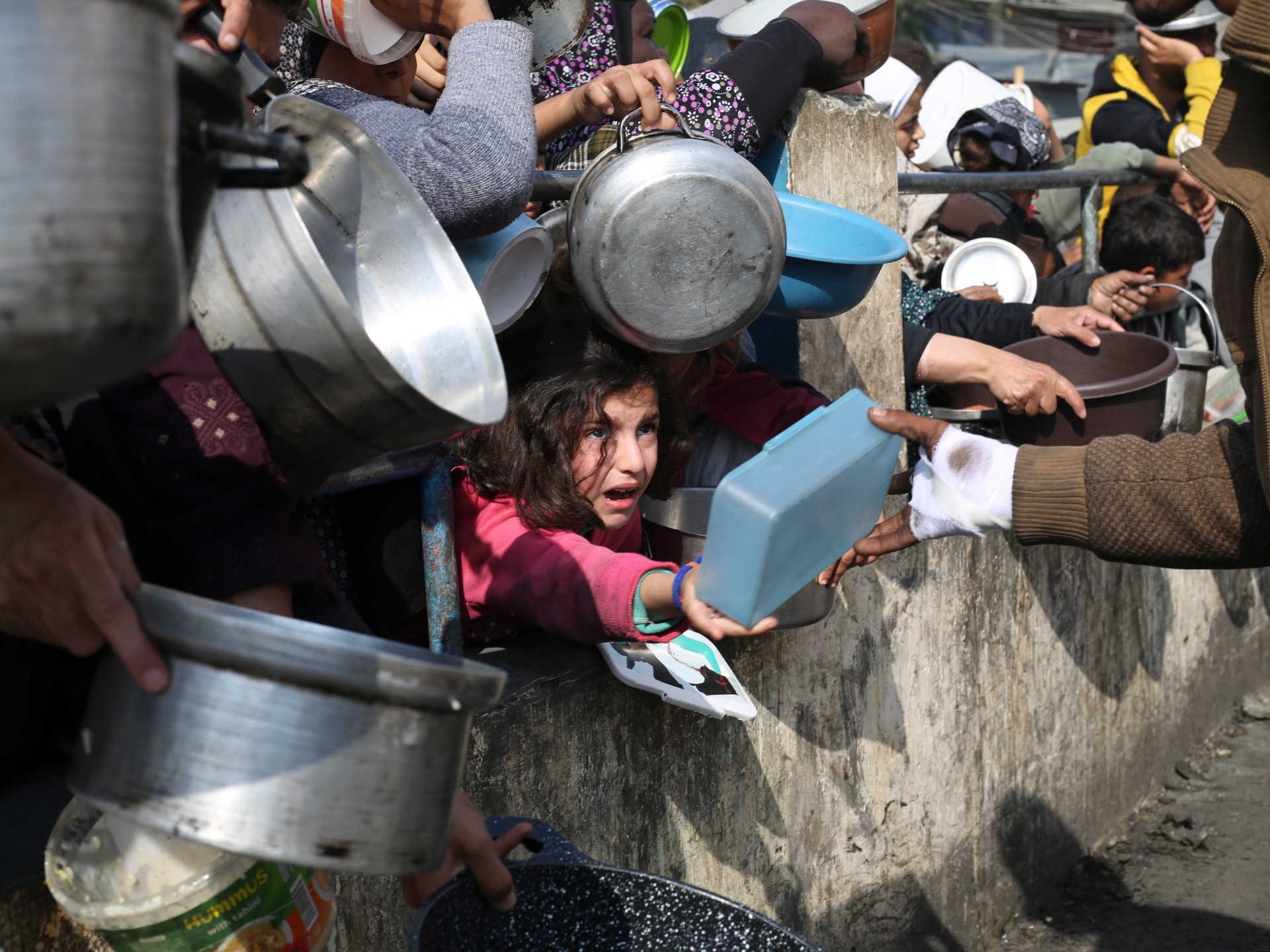 Starvation ‘most likely’ currently stalking northern Gaza: Report