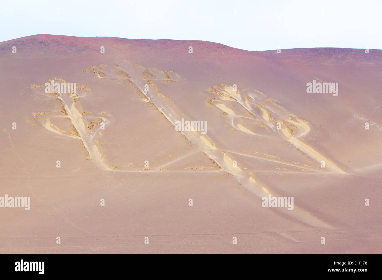 Mystical Pink Sands in Australia Reveal Hidden Antarctic Mountains – ScienceAlert