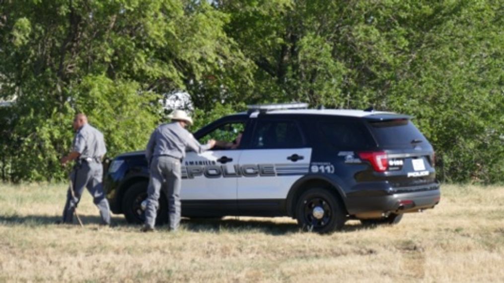 Authorities look for witnesses to Botanic Gardens sculpture theft