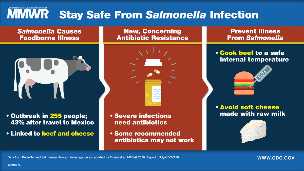 More than 165 contaminated with Salmonella in raw milk break out