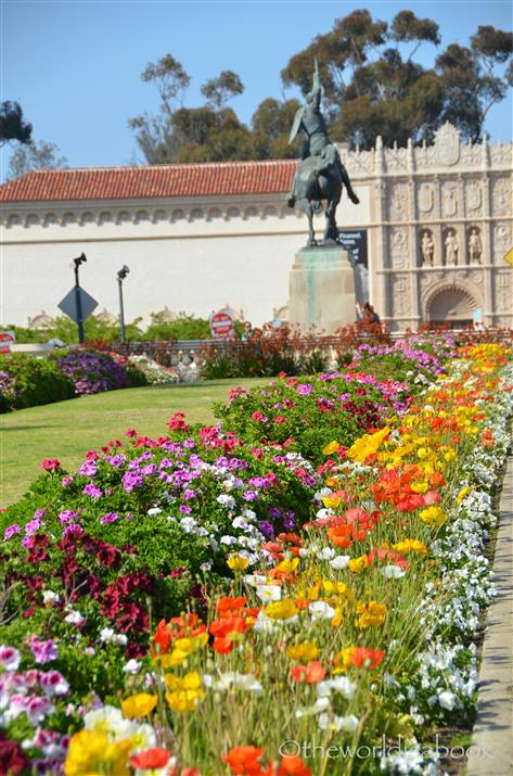 Balboa Park Horticultural Tours: Australian Flora in San Diego – KPBS