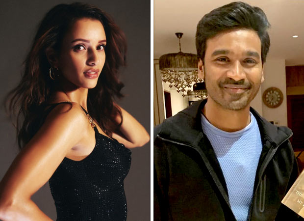 Aanand L Rai indications Triptii Dimri as leading woman in Dhanush starrer Tere Ishk Mein: Report