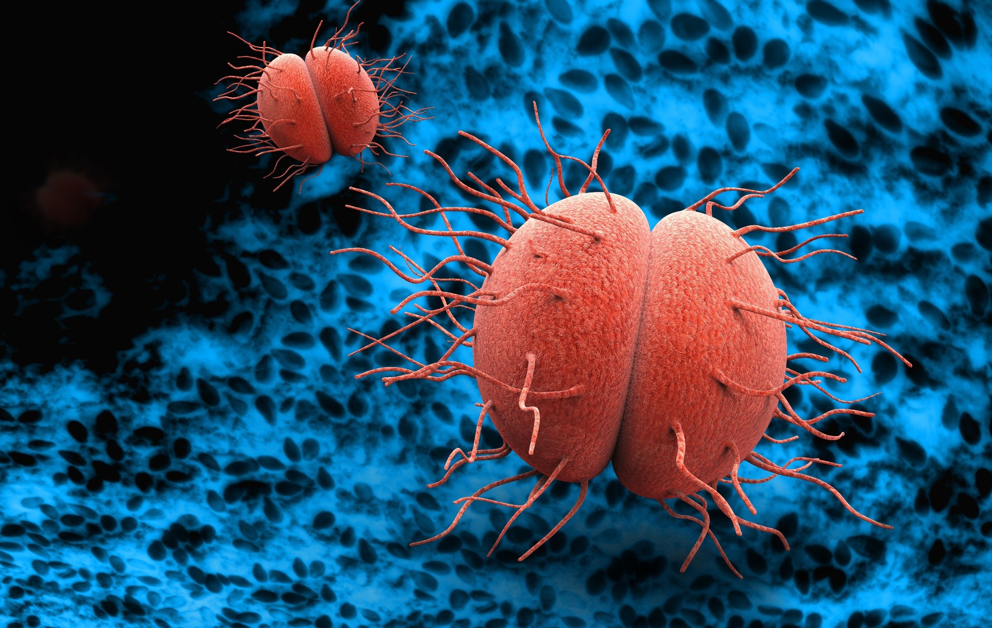 Increasing antimicrobial resistance in particular Salmonella serovars separated from retail chicken meat