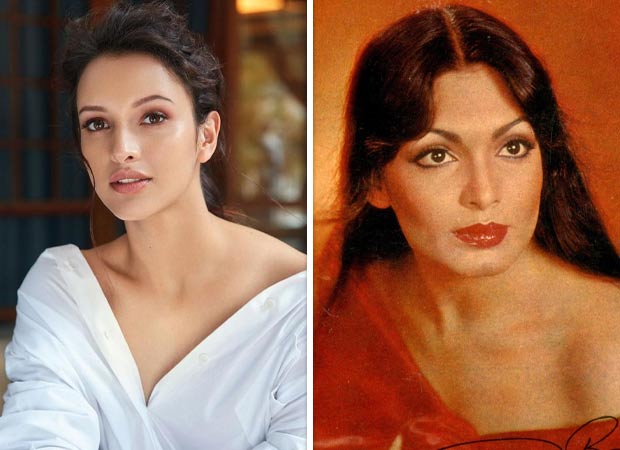 Triptii Dimri in conversation to play renowned Parveen Babi in upcoming biopic: Report