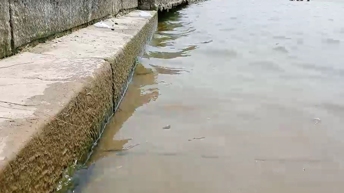 People are kneeling down and taking a dip in the Sangam, the water level of the Ganges is decreasing rapidly