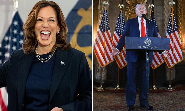 As Harris leads over Trump, what has worked for her that didn’t work Biden?