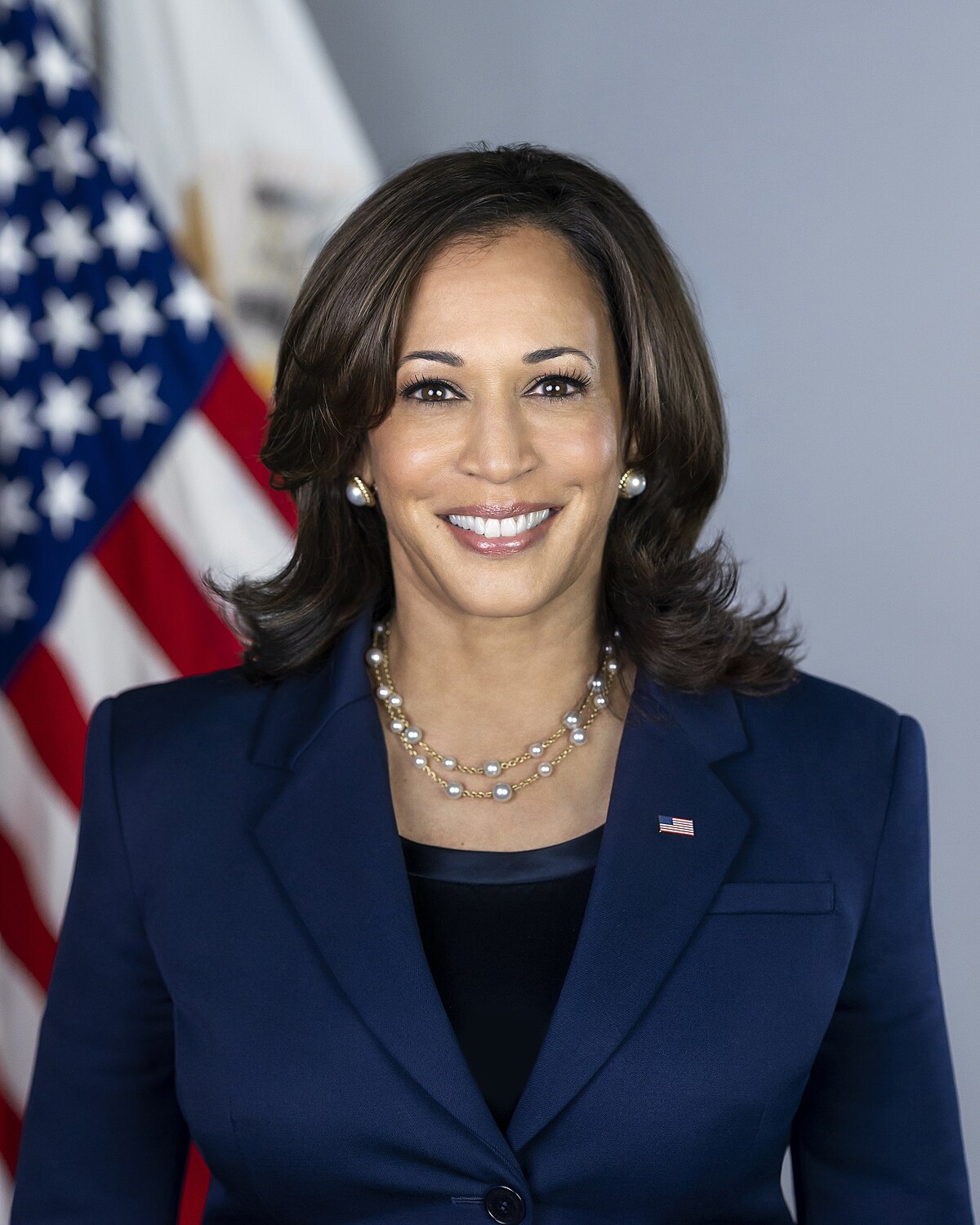 Kamala Harris financial strategy to concentrate on groceries, real estate and health care