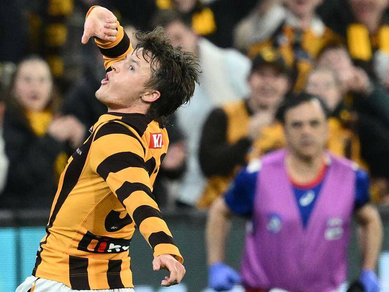 Hawthorn win removal last with dissentious home ground benefit: ‘Not reasonable’