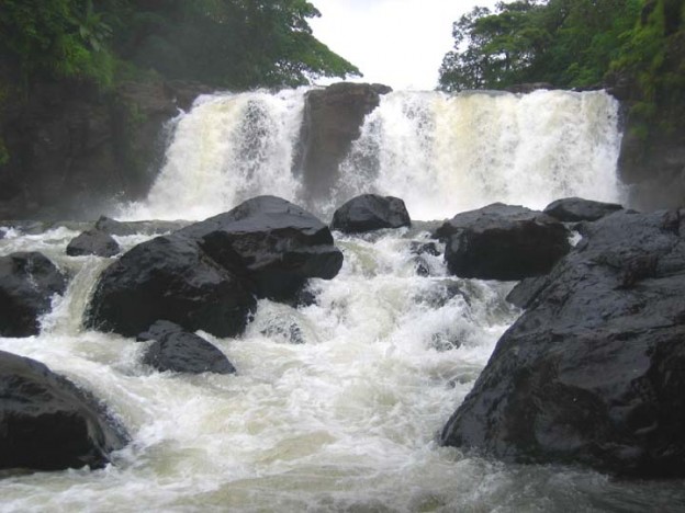 In the jungles of Sattari, a residue of King Miguel’s 1830s reign