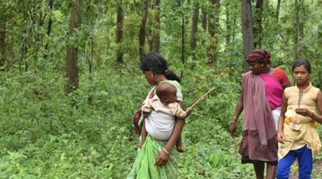 Tribals in Malkangiri provide praise to Goddess to suppress spread of mystical illness