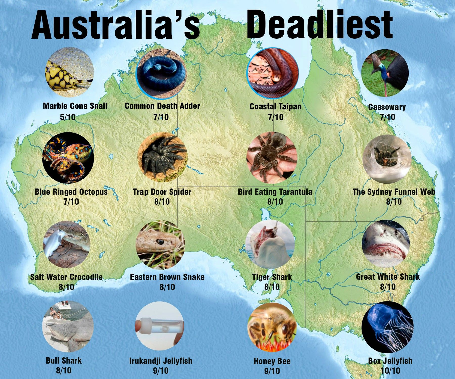 Australia’s the majority of harmful roadways exposed