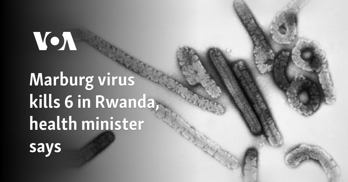 Marburg infection break out in Rwanda: All you require to understand