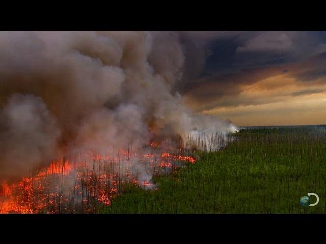 Raging wildfires in main Greece leave 2 individuals dead