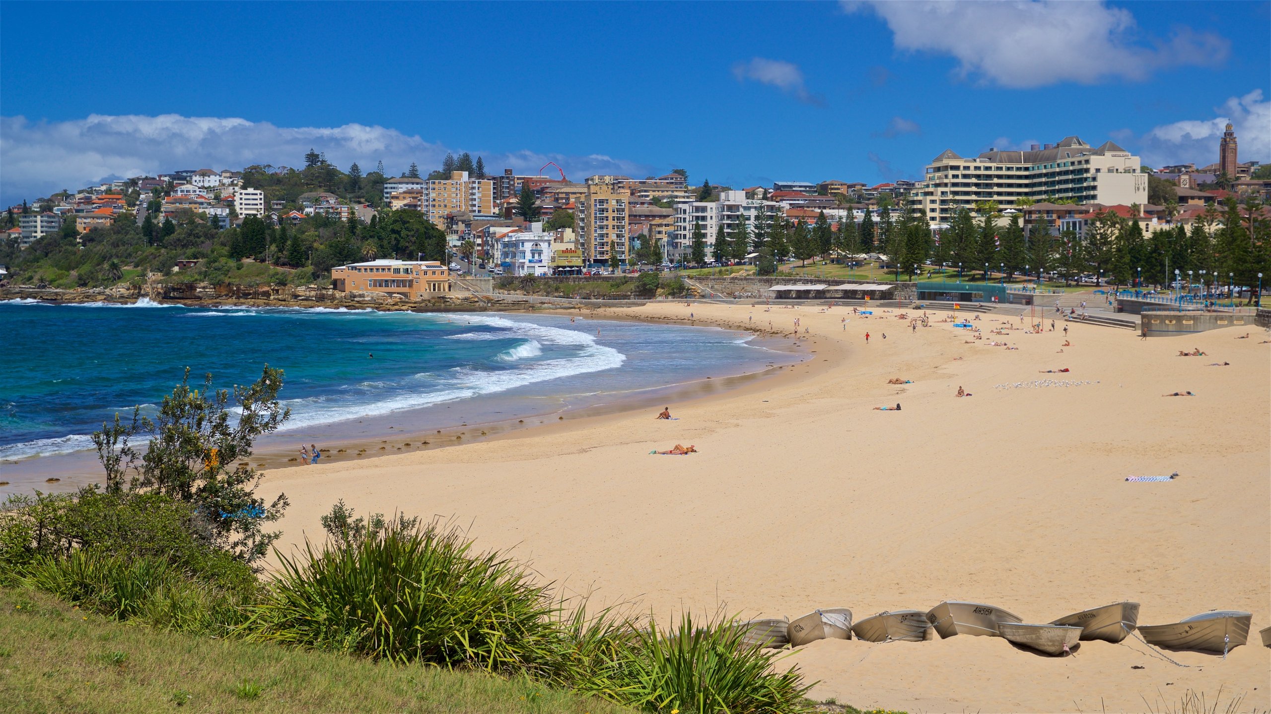 Coogee Beach, Maroubra Beach, Clovelly Beach and Gordons Bay in Sydney’s east closed due to contamination