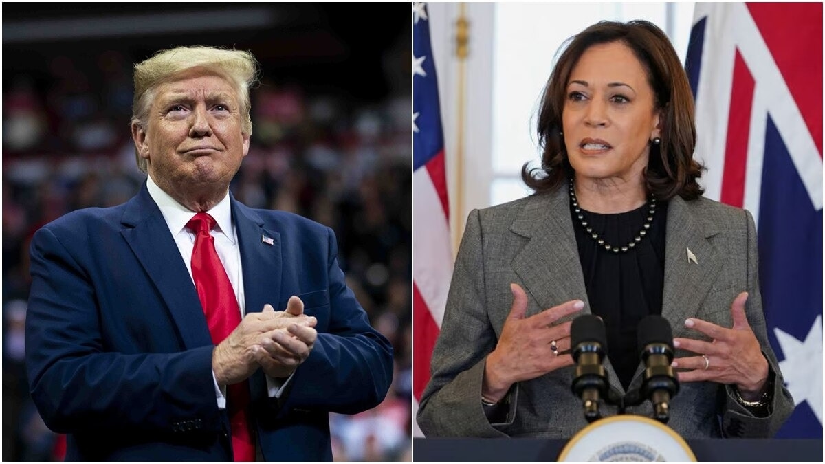 Kamala Harris VS Trump: Who is leading in the survey conducted before the US presidential elections?