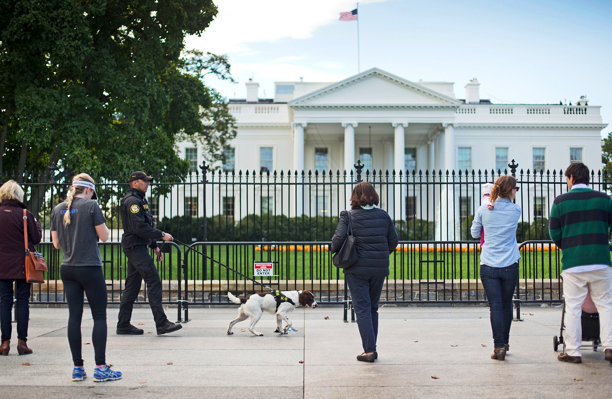 The Washington Post is abstains at the most harmful time in history|Tim Adams