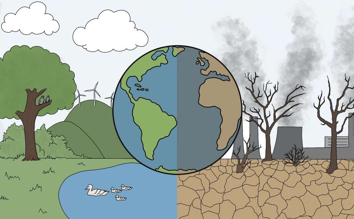 Existing environment promises by countries ‘miles short’ of 2030 objective, UN body states