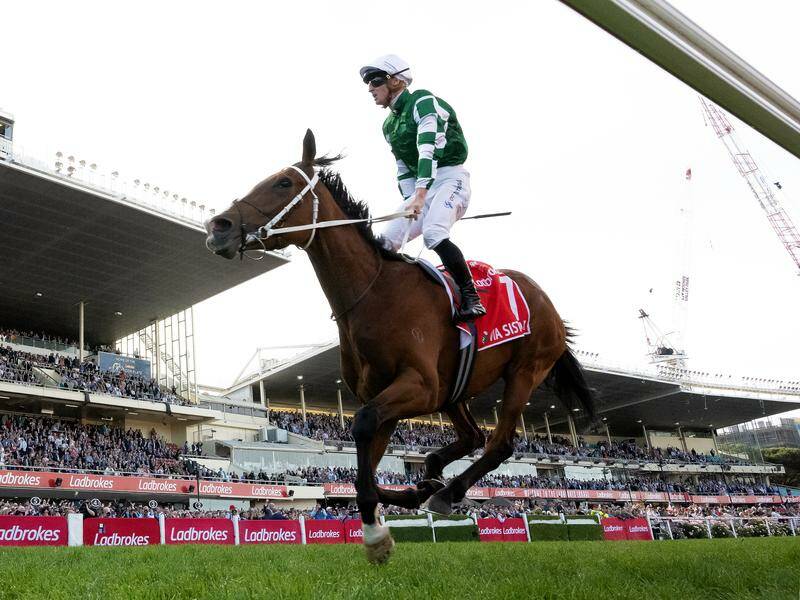 Melbourne Cup preferred Jan Brueghel eliminated after stopping working veterinary examination