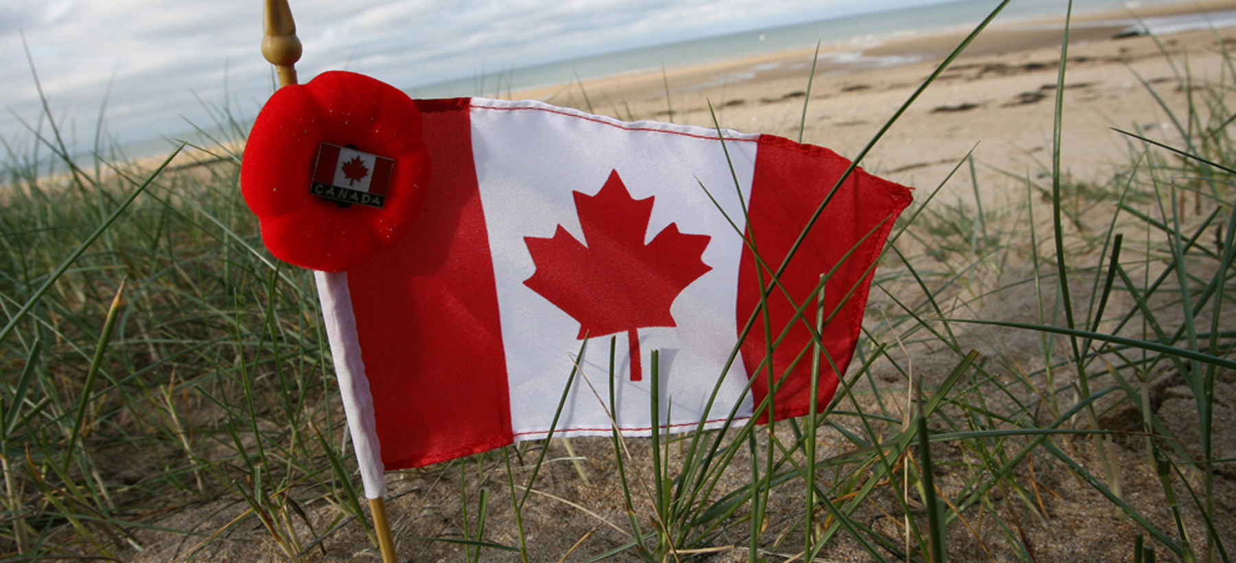 Photos: Remembrance Day 2024