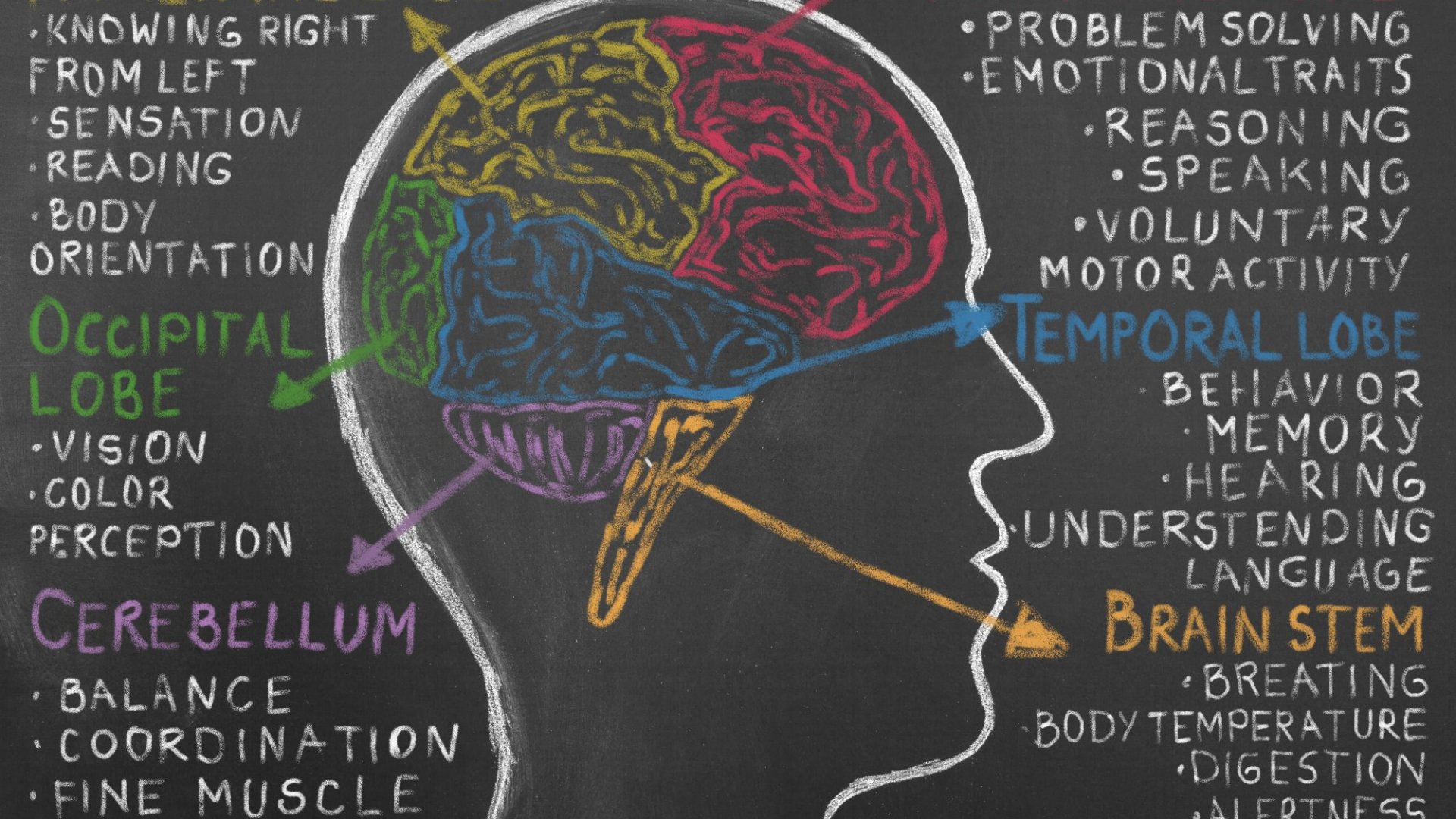 Faster Brain Atrophy Linked to MCI