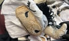 Guy charged after apparently attempting to smuggle meth-soaked cow onesie on flight to Australia