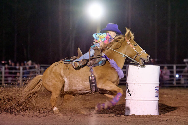 ‘We’ve been at this rodeo before’: gun-safety groups prepare for second Trump term