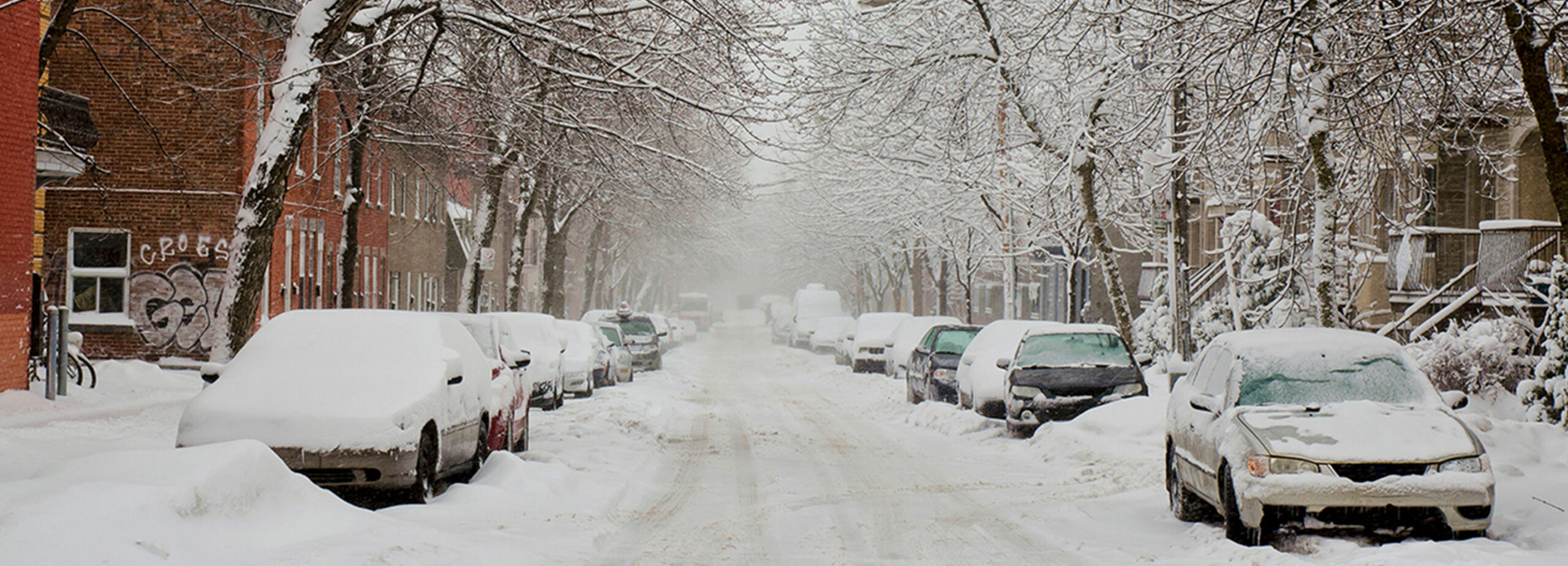 US winter storm leaves four dead as millions hit by snow, ice and bitter cold