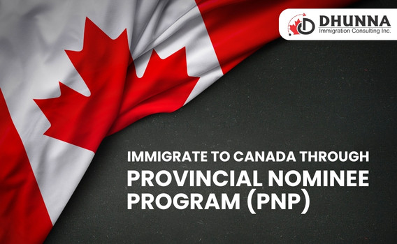 2024: Provincial Nominee Program year in review