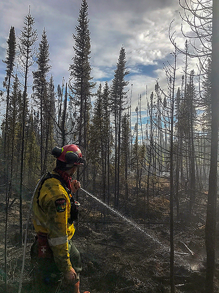 This man chose not to as the LA wildfire spread to his neighbourhood. He saved three houses