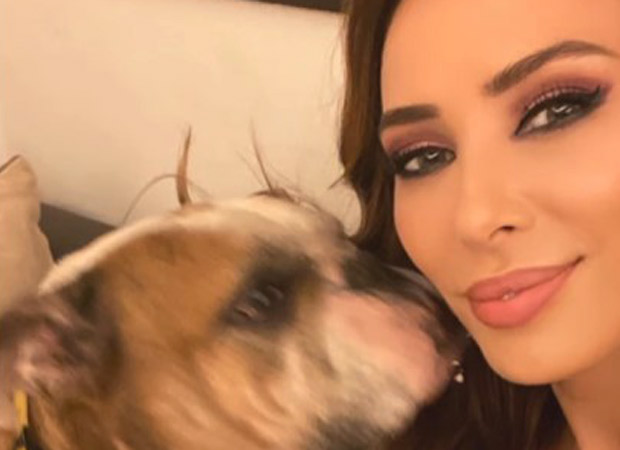 Iulia Vantur mourns loss of Salman Khan’s dog Toro, shares emotional tribute