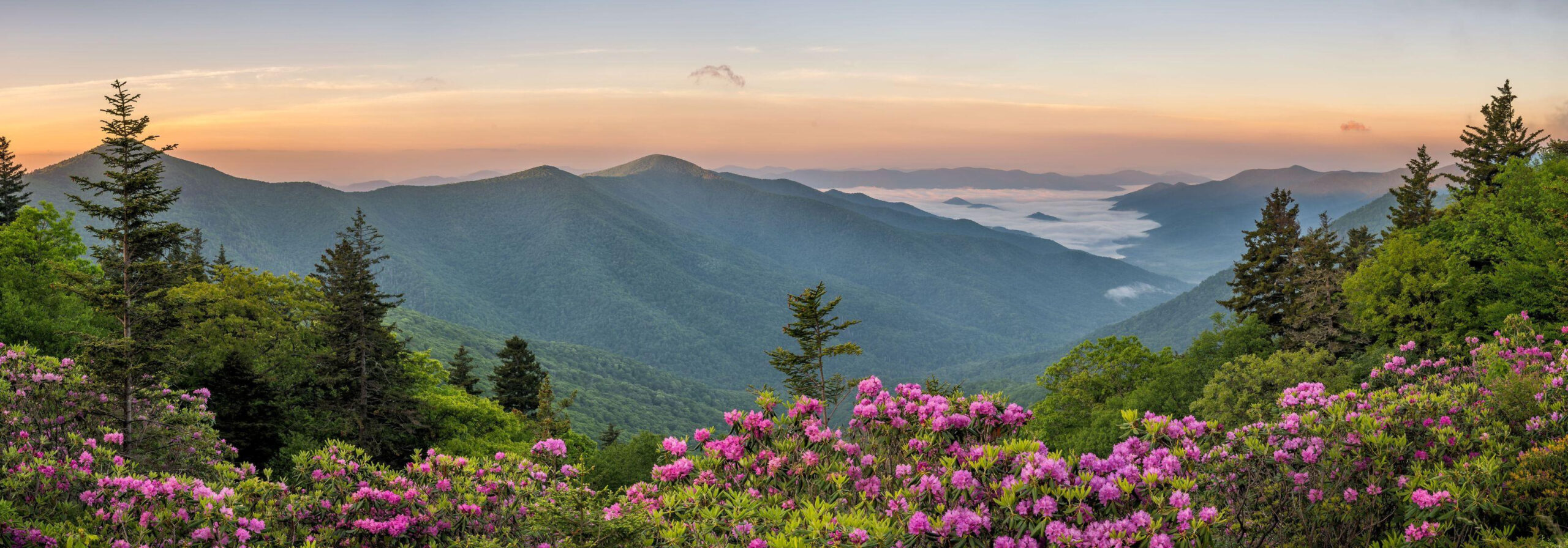 5 things about North America’s tallest mountain that Trump wants to rename as Mt McKinley